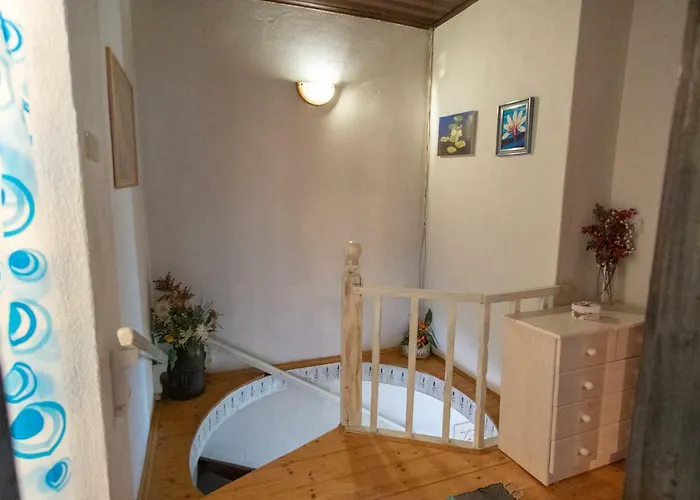 Barbara * 오레비츠